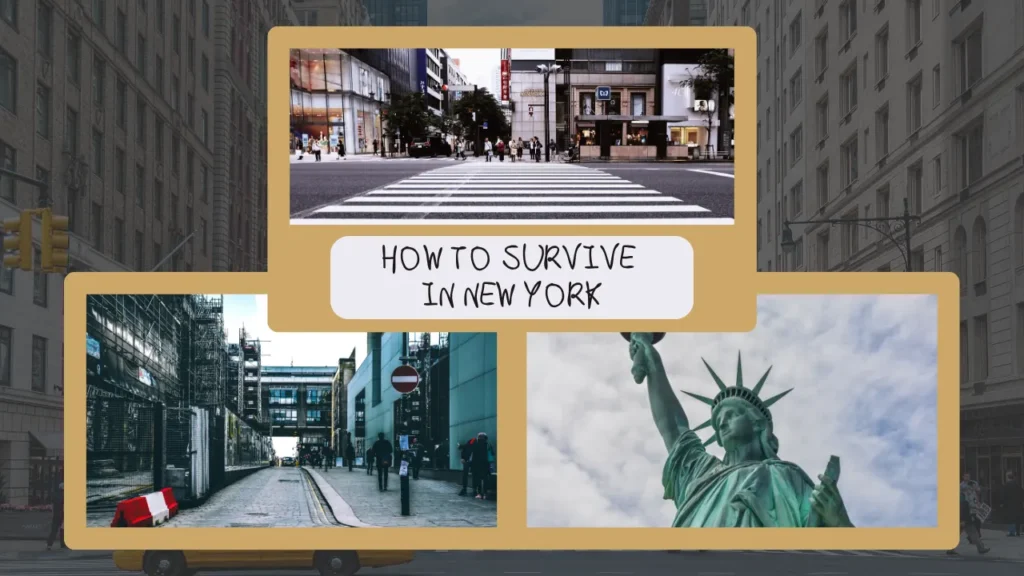 How To Survive In New York
