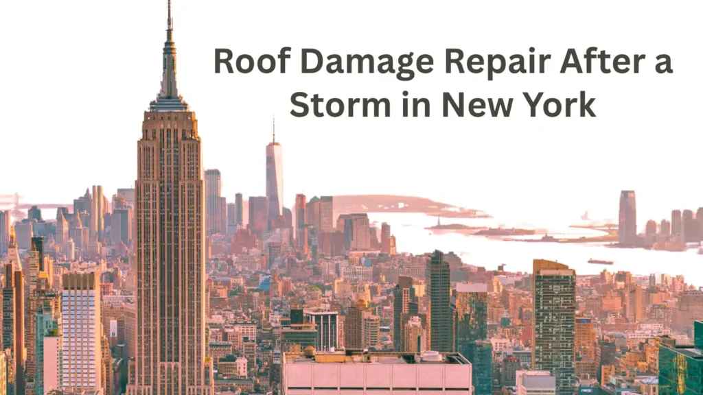 WhiteandBlueAestheticNewYorkTravelInstagramStory1 ezgif.com png to webp converter